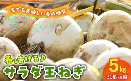 020-07 春を告げるサラダ玉ねぎ5kg 521569 - 鹿児島県南九州市