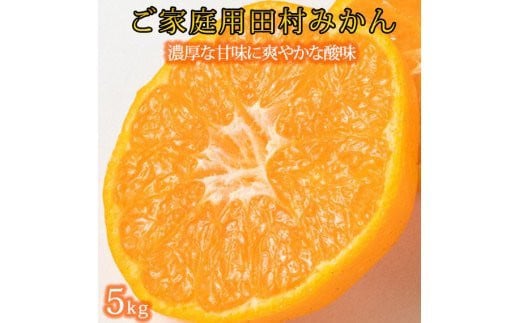 【ご家庭用訳あり】田村みかん　５kg【2025年12月上旬以降発送】【先行予約】【UT18】【uot754A】 910713 - 和歌山県由良町