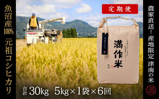 【2025年産新米】【6ヶ月定期便】元祖魚沼産コシヒカリ 5kg(5kg×1袋)
