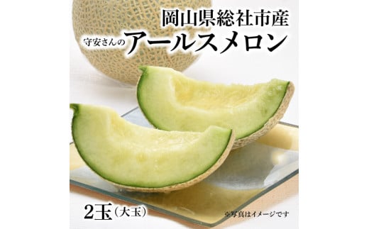 「守安さんのアールスメロン」2玉（大玉）岡山県総社市産【2025年産先行予約】25-018-001