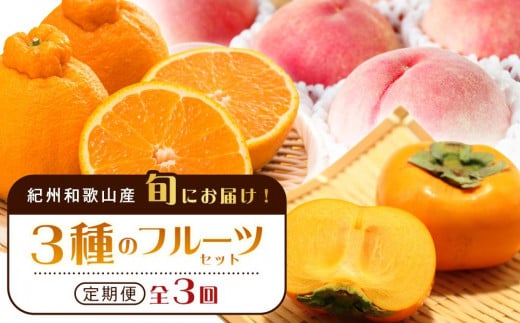 紀州和歌山産 旬にお届け！3種のフルーツセット（不知火・桃・ひらたね）【UT58】 1300643 - 和歌山県和歌山市