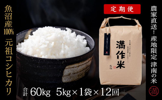 【2025年産新米】【12ヶ月定期便】元祖魚沼産コシヒカリ 5kg(5kg×1袋)
