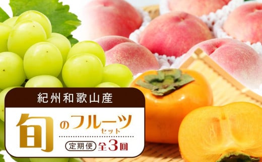 【7・8・10月 全3回】紀州和歌山産旬のフルーツセット（桃・シャイン・ひらたねなし柿）定期便 【魚鶴商店】【UT66】
