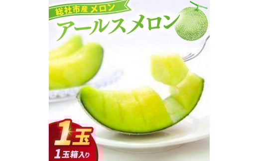 「アールスメロン（1玉）」岡山県総社市産【2025年産先行予約】25-016-001 1324383 - 岡山県総社市