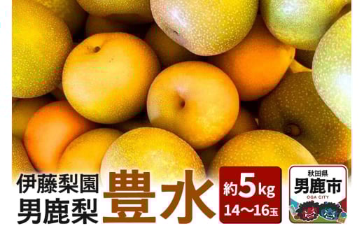 【先行受付】男鹿梨 「伊藤梨園」の豊水 梨 約5kg 2L 14～16玉 秋田県 男鹿市 旬の果物 2025年9月下旬以降出荷 2128360 - 秋田県男鹿市