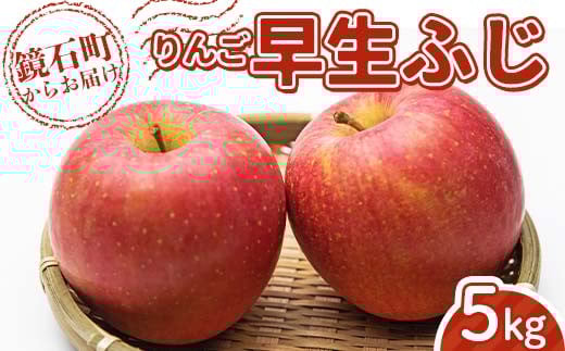 ＜先行予約＞福島県産 甘い りんご 早生ふじ 5kg （12玉～20玉） リンゴ フルーツ 果物 F6Q-287 2054368 - 福島県鏡石町