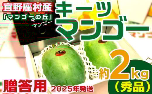 【2025年発送】贈答用　宜野座村産キーツマンゴー「マンゴーの丘」秀品　約2kg フルーツ 甘い 美味しい 特徴 香り お取り寄せ Mango デザート 大きい 希少 贈り物 ビタミン おすすめ 贅沢 栄養価 国産 沖縄県 人気 産地直送 送料無料 809734 - 沖縄県宜野座村