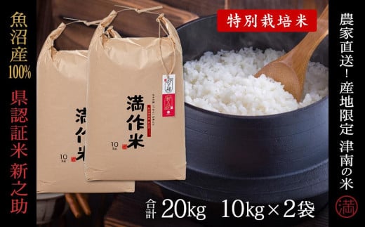 【2025年産新米】【県認証】魚沼津南産新之助 20kg(10kg×2袋) 産地限定！農家直送 713884 - 新潟県津南町