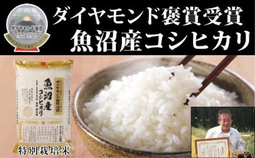 【令和7年産新米】最高級魚沼産 こしひかり 5kg×1袋 ダイヤモンド褒賞受賞 特別栽培米 新潟県 津南町 コシヒカリ コメ 米 お米