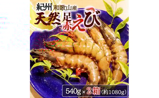 紀州和歌山産天然足赤えび540g×2箱（270g×4パック）　化粧箱入【2025年11月末頃から2026年2月上旬頃に順次発送】【UT24】【uot773A】 903111 - 和歌山県由良町