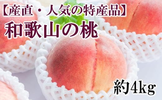 【産直・人気の特産品】和歌山の桃　約4kg・秀選品★2025年6月下旬～8月上旬頃順次発送★【TM168】【tec911A】 480514 - 和歌山県由良町