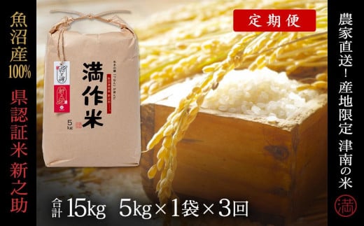 【2025年産新米】【3ヶ月定期便】合計15kg（5kg×3回） 県認証 魚沼産新之助 713885 - 新潟県津南町
