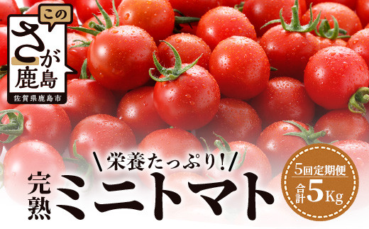 【先行予約】 完熟ミニトマト 『Ricotomato』 【1kg×5回定期便】  【2024年12月から出荷】 G-27