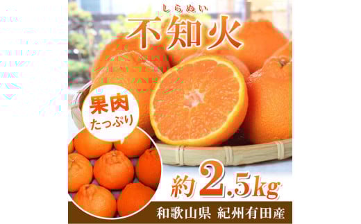 紀州有田産不知火(しらぬひ) 2.5kg【UT61】【uot794】