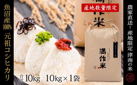 【2025年産新米】元祖魚沼産従来コシヒカリ 10kg 産地限定！農家直送 713870 - 新潟県津南町