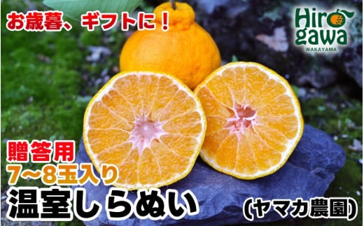 ▼温室しらぬい 3kg（7〜8玉入） 不知火 【贈答用 化粧箱入】 ※11月下旬〜12月下旬頃順次発送予定 / しらぬい 産地直送 みかん 旬 蜜柑 ミカン 柑橘 果物 フルーツ 和歌山県 広川町【ymk006-p-3】 652537 - 和歌山県広川町