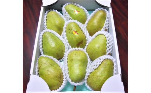 西洋梨(バラード)3kg ご家庭用 0017-2514 822414 - 山形県上山市