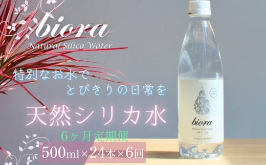 biora天然シリカ水 500ml×24本×6回 定期便 天然水 シリカ水 軟水 ミネラル 美容 健康 玖珠町 大分県 九州 自然 防災 備蓄 安全 人工添加物なし 72mg/ℓ 含有 6ヶ月 美しい水 継続 吸収 効率 健康志向 2033843 - 大分県玖珠町
