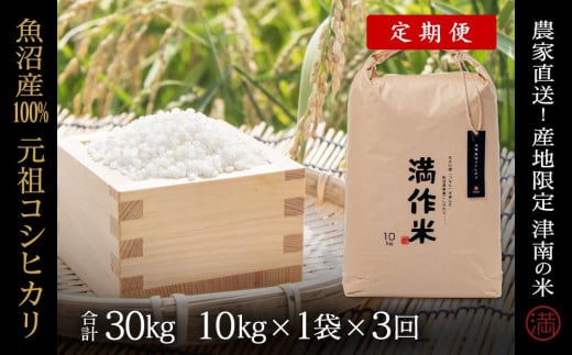 【2025年産新米】【3ヶ月定期便】合計30kg 10kg×3回 元祖魚沼産コシヒカリ 713875 - 新潟県津南町