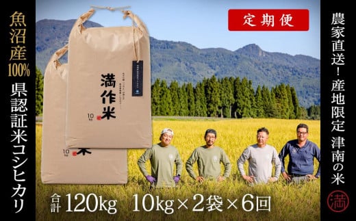 【2025年産新米】【6ヶ月定期便】合計120kg 20kg×6回 特栽魚沼産コシヒカリ 713866 - 新潟県津南町