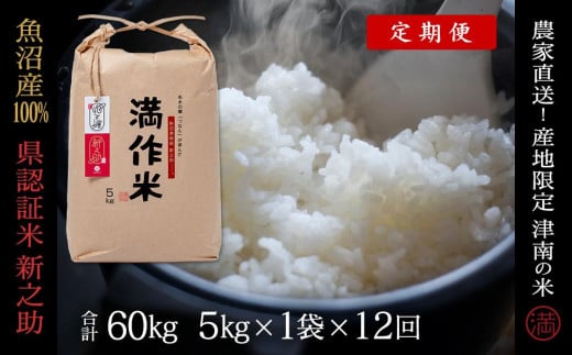 【2025年産新米】【12ヶ月定期便】県認証 魚沼産新之助 5kg(5kg×1袋) 