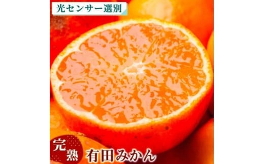 [11月より発送]完熟 プレミアム有田みかん 5kg+250g(傷み補償分)(傷み補償分) | 柑橘 果物 フルーツ 糖度 甘い 濃厚 コク ジューシー 光センサー ※北海道・沖縄・離島への配送不可 ※2025年11月上旬〜2026年1月下旬頃に順次発送予定
