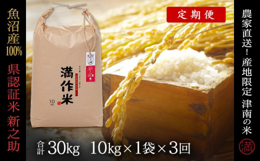 【2025年産新米】【3ヶ月定期便】県認証 魚沼産新之助 10kg(10kg×1袋) 