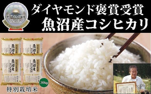 【令和7年産新米】最高級魚沼産 こしひかり 20kg（5kg×4袋） ダイヤモンド褒賞受賞 特別栽培米 新潟県 津南町 コシヒカリ コメ 米 お米 714369 - 新潟県津南町