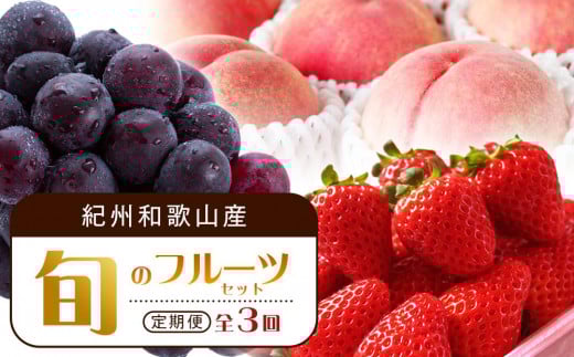 【2・7・9月 全3回】紀州和歌山産旬のフルーツセット（いちご・桃・ピオーネ）【UT95】 1488724 - 和歌山県九度山町