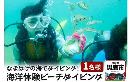 【なまはげの海でダイビング！！】 海洋体験ビーチダイビング 1名様 秋田県 男鹿半島 男鹿市 2124471 - 秋田県男鹿市