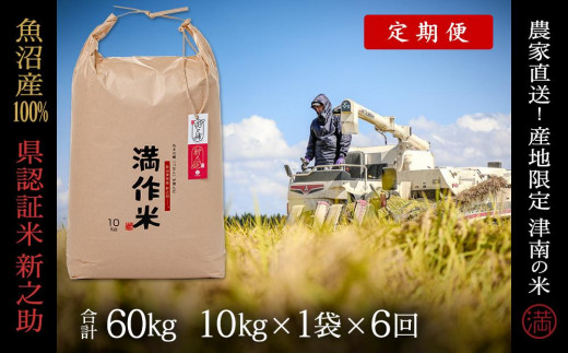 【2025年産新米】【6ヶ月定期便】県認証 魚沼産新之助 10kg(10kg×1袋) 