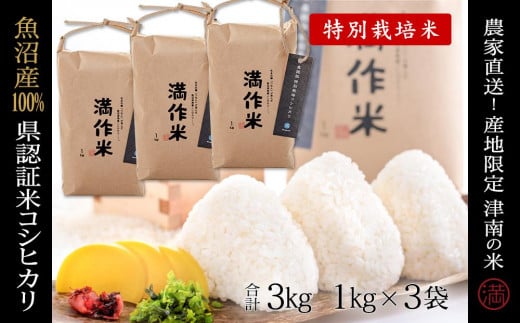【2025年産新米】県認証米魚沼産コシヒカリ 3kg 産地限定！農家直送 713855 - 新潟県津南町