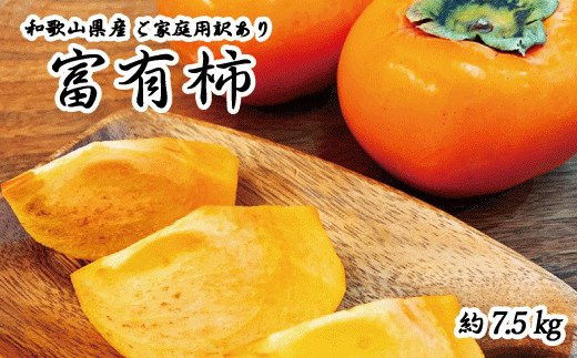 【ご家庭用わけあり】和歌山秋の味覚　富有柿　約７．５ｋｇ「2025年11月上旬以降発送予定」【UT47】【uot719A】 480714 - 和歌山県由良町