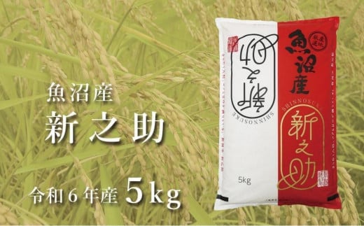 令和7年産新米 中魚沼産「新之助(しんのす