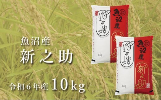令和7年産新米 中魚沼産「新之助(しんのす