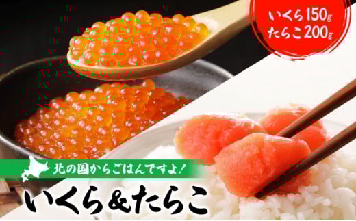 醤油漬けいくら 150g×1パック たらこ