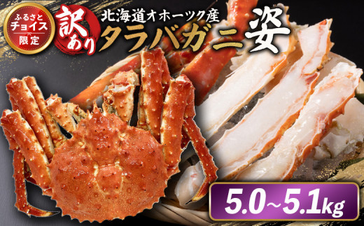 《チョイス限定》北海道オホーツク産 《訳アリ》冷タラバガニ姿 5.0~5.1kg