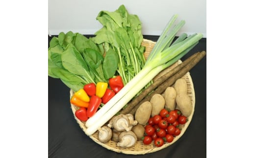 例）秋野菜セット