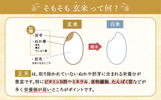 令和7年産 妹背牛産新米【北彩香(ゆめぴりか)】玄米10kg 2025 令和7年産 妹背牛産新米【北彩香(ゆめぴりか)】玄米10kg 2025