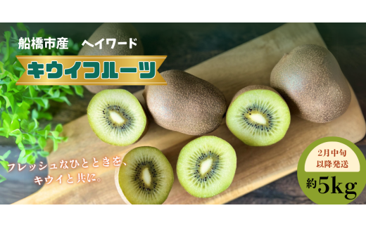【2月中旬発送】キウイフルーツ ヘイワード キウイ 5kg 国産 船橋市産 やまちょう園 選べる発送時期 期間限定 数量限定 限定 先行予約 果物 フルーツ