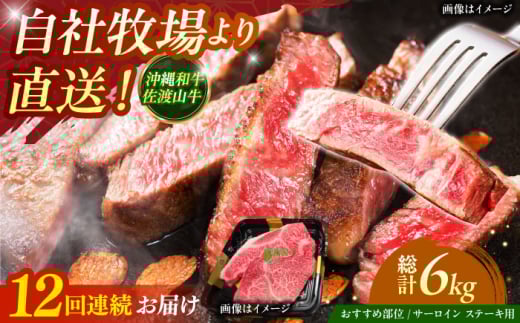 【全12回定期便】【数量限定】沖縄和牛 佐渡山牛 サーロイン＆希少部位 ステーキ肉 500g 牛肉 和牛 サーロインステーキ 焼肉 赤身 沖縄市 / 肉のサブロー [BCBC016]