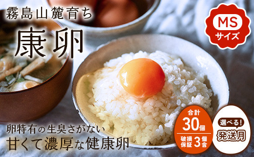 【2026年3月発送】卵 鶏卵 霧島山麓育ち こだわり卵 康卵 たまご 玉子 卵 タマゴ 生卵 鶏卵 30個入り 玉子焼き 卵焼き ゆで卵 ゆでたまご エッグ TKG 卵かけご飯 たまごかけごはん つまめる 破損保証3個含む MS 宮崎県産 九州産 送料無料