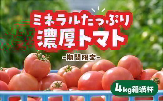 D325 山口秋穂トマト　浜青江とまと農園 1778060 - 山口県山口市