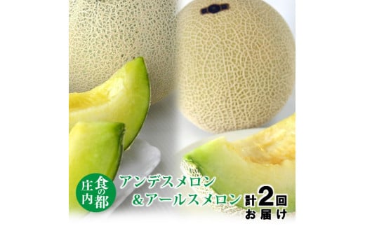 食の都庄内【令和7年産】ジューシー！メロン2ヶ月定期便※令和7年7月上旬頃より発送予定 1981070 - 山形県三川町