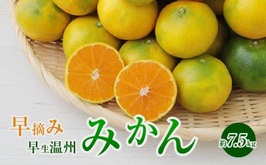 S040-020_早摘み 早生温州みかん 約7.5kg 〈先行受付〉 321763 - 熊本県天草市