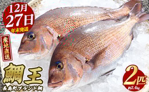【2025年12月27日発送】長島町特産「鯛王」(2匹・約2.4kg) 産地直送 新鮮 旨味が抜群の 長島町 特産品 ブランド 真鯛 をまるごと 一匹 楽しめる 刺身 鯛めし 鯛茶漬け 鯛しゃぶ 鯛刺身 鮮魚 冷蔵 年末発送【JFA】jfa-22-1227