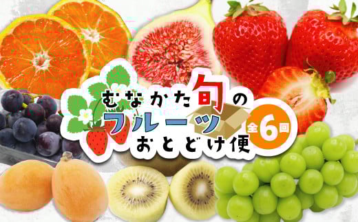 【定期便/年6回】むなかた旬のフルーツ6回定期便【ほたるの里】_HB0090 290481 - 福岡県宗像市