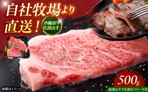 【厳選！おすすめ部位】沖縄和牛 佐渡山牛 ステーキ肉 500g ステーキ 牛肉 和牛 焼肉 赤身 沖縄市 / 肉のサブロー [BCBC001]