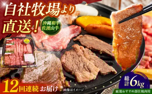 【全12回定期便】【厳選！おすすめ部位】沖縄和牛 佐渡山牛 焼肉用 500g 牛肉 焼肉 焼き肉 和牛 赤身 沖縄市 / 肉のサブロー [BCBC013] 2130820 - 沖縄県沖縄市