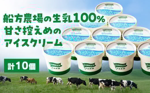 D363 船方農場のアイスクリームセット(10個入り) 778911 - 山口県山口市
